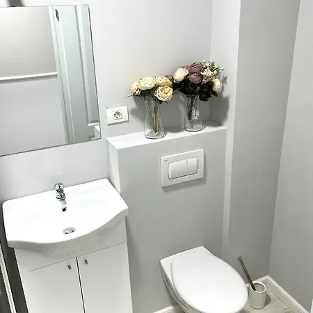 Baneasa Luxury Apartaments Bucarest Esterno foto